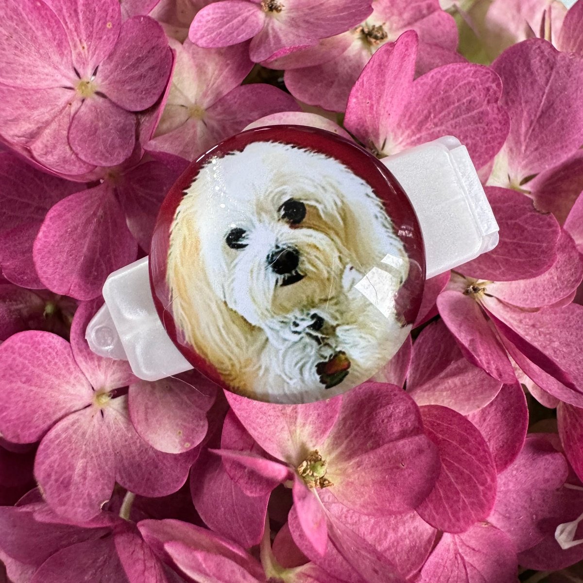 Hundespange Cabochon „Malteser“