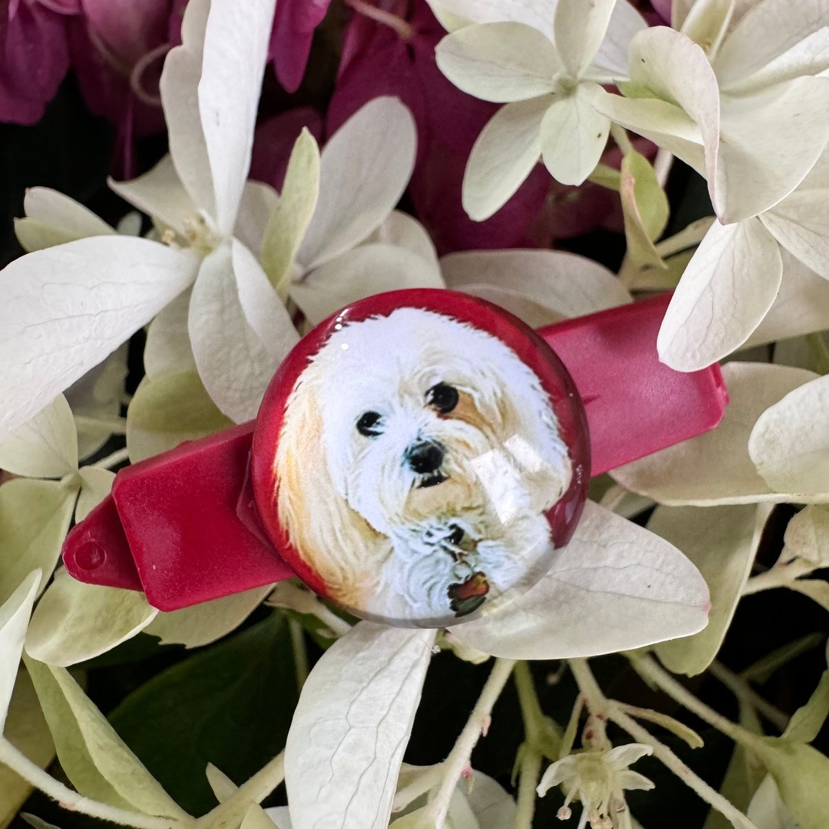 Hundespange Cabochon „Malteser“