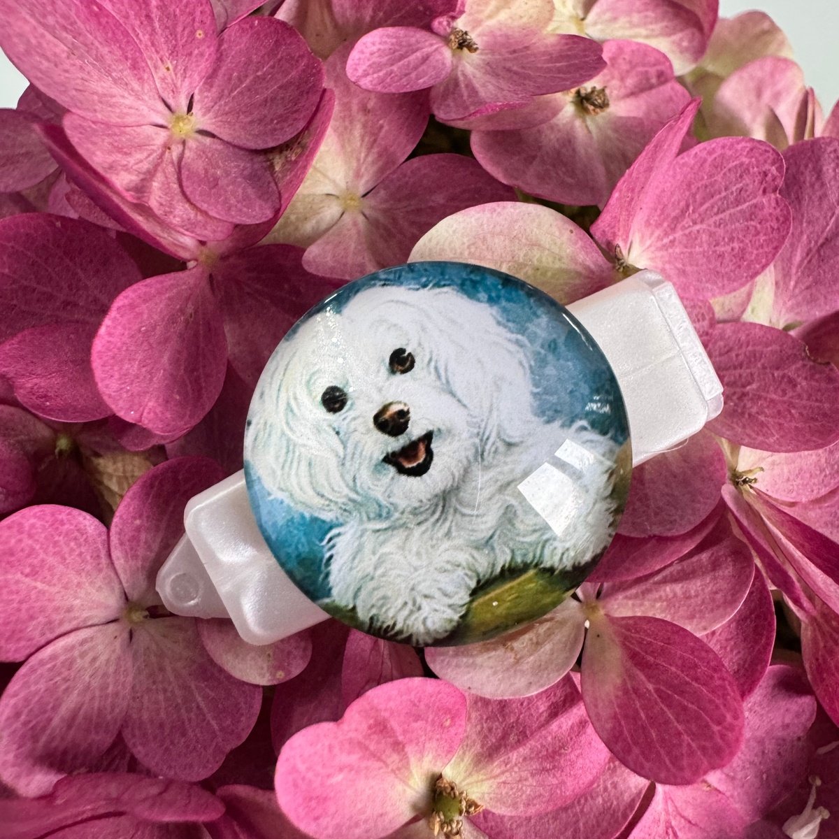 Hundespange Cabochon „Havaneser“