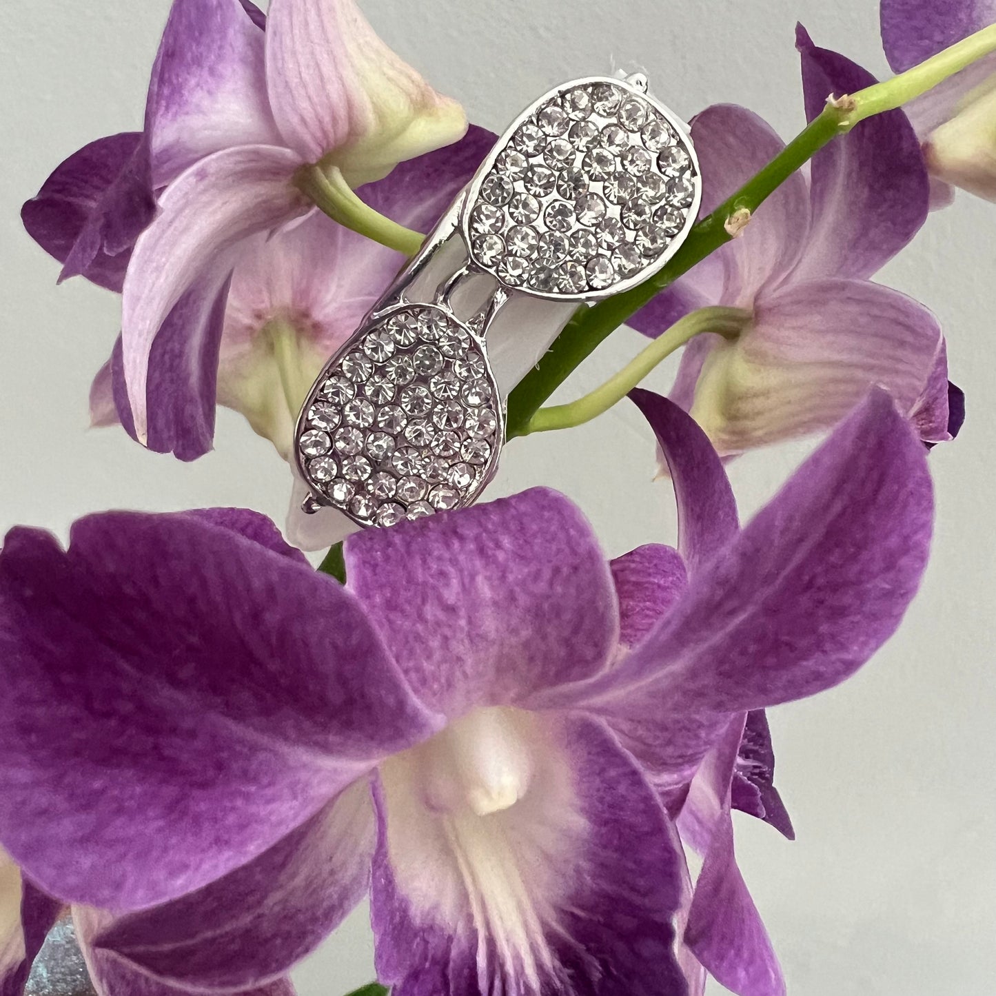 Hundespange „Glitzer-Brille“ (4.5 cm)